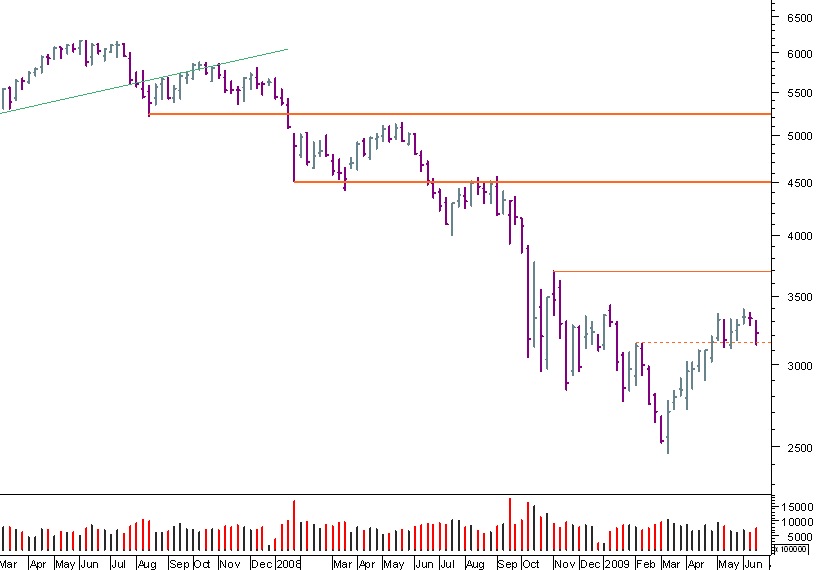 cac bear 190609.png