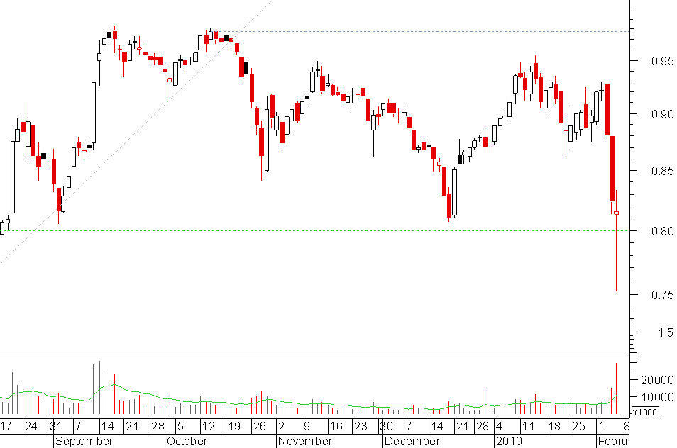 sonae 07022010.png